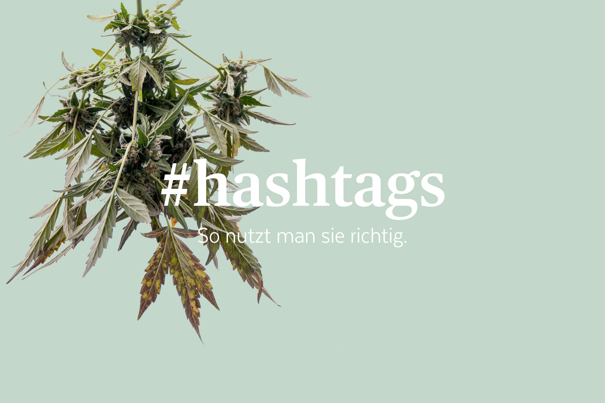 socialmedia #hashtags